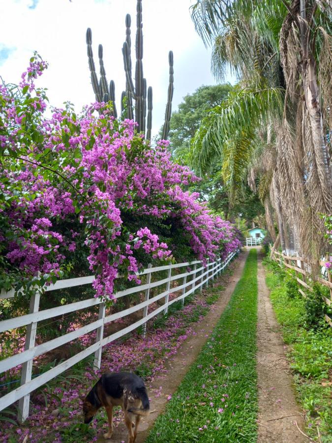 Pousada Recanto Alegre Campestre Exterior photo